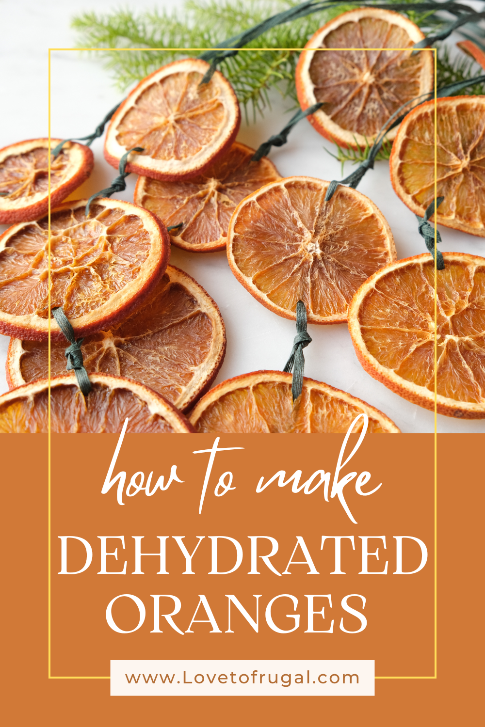 How to Dehydrate Oranges in the Oven pin